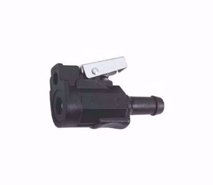 conector-honda-goldenship-38