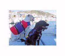 chaleco-mascota-9-18-kgs