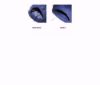 pack-2-fundas-defensa-fendress-tipo-f-azul-marino